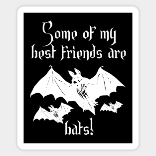 Some of my best friends are bats! Humorous Magnet